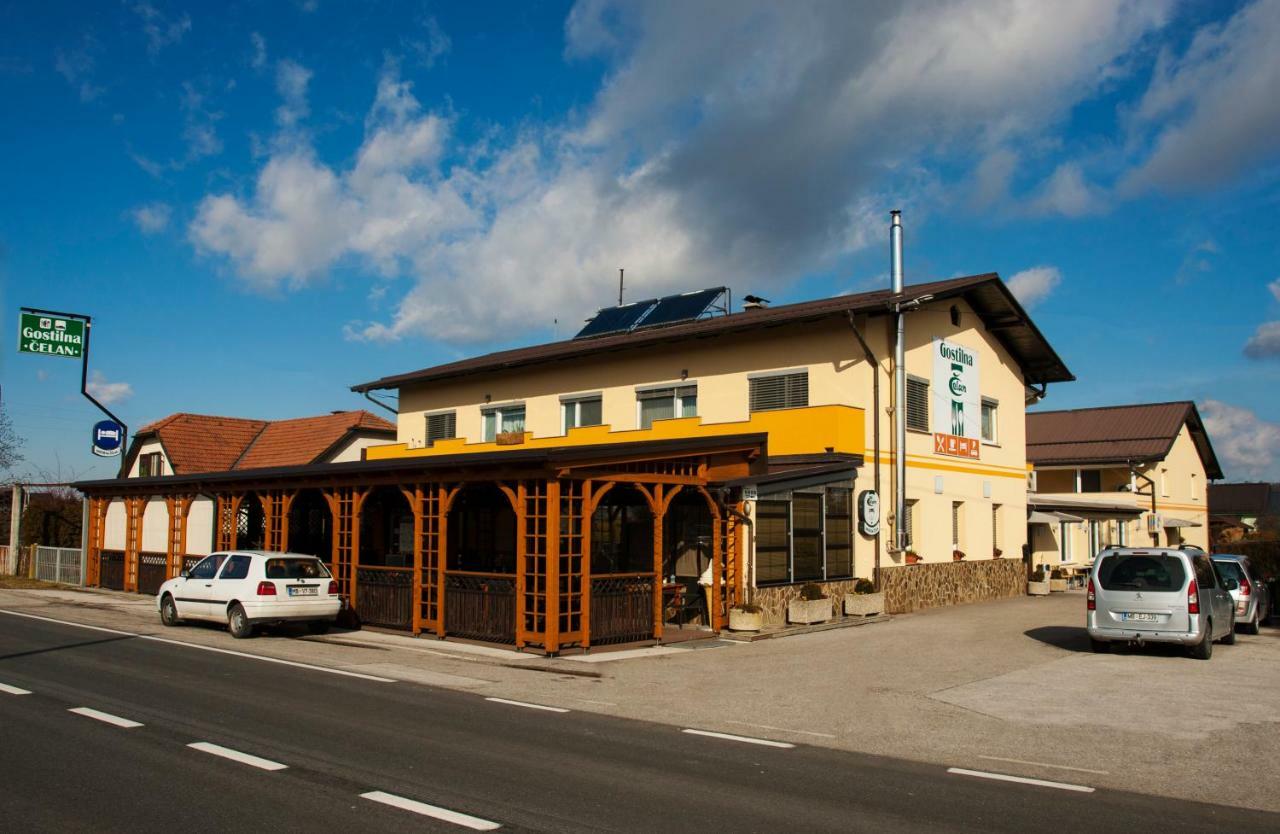 Guest House Celan Spodnja Hajdina Exterior photo